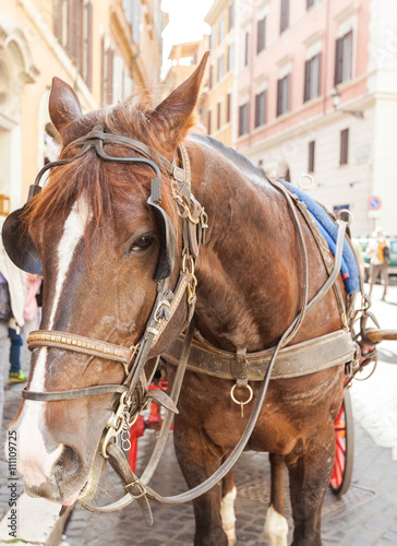 Close up of a traditional horse carriage in Rome in downtown street. Rome, Lazio, Italy.