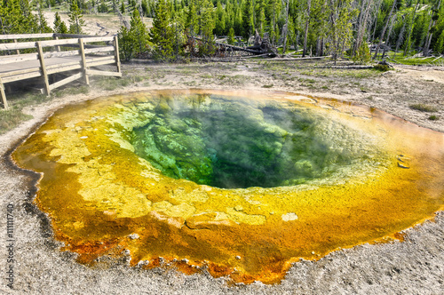 Morning Glory Pool, Yellowstone National Park