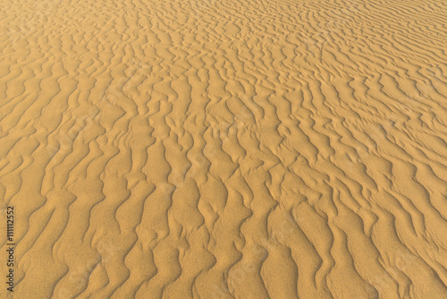 Sahara desert - beautiful landscape with sand dunes