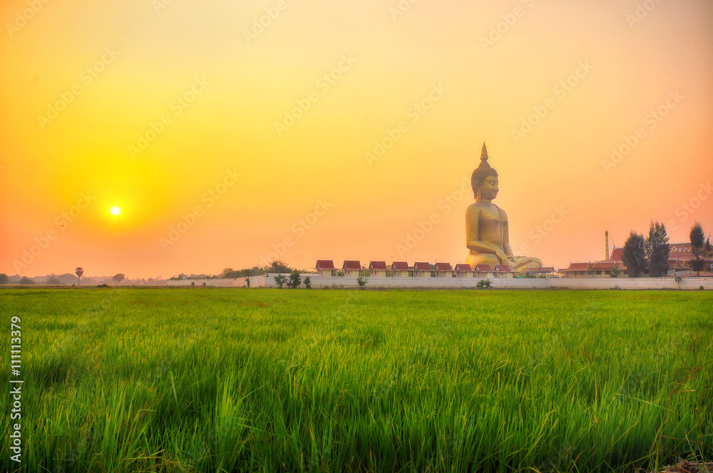 ANGTHONG THAILAND - MARCH 6: Biggest buddha is in Wat Muang with sunset at the field rice in ANGTHONG THAILAND on MARCH 6, 2010