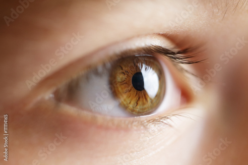 Human child eye