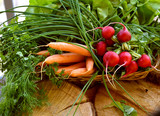 Spring vegetables in basket: radish, carrot and chives