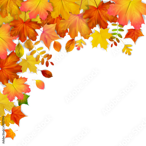 Colorful autumn maple leaves frame, vector illustration