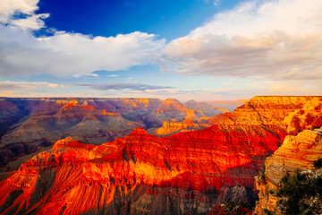 Fotobehang Canyon Mather Point uitzicht Arizona  © Björn Alberts