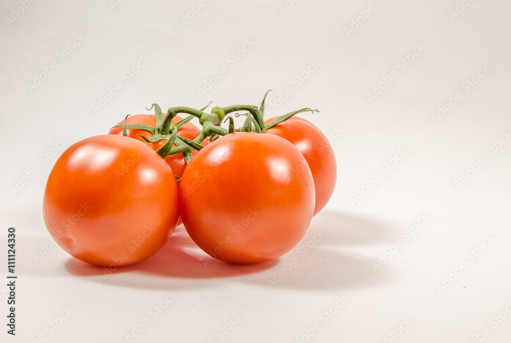 Front view of four tomatoes on the vine on white background
