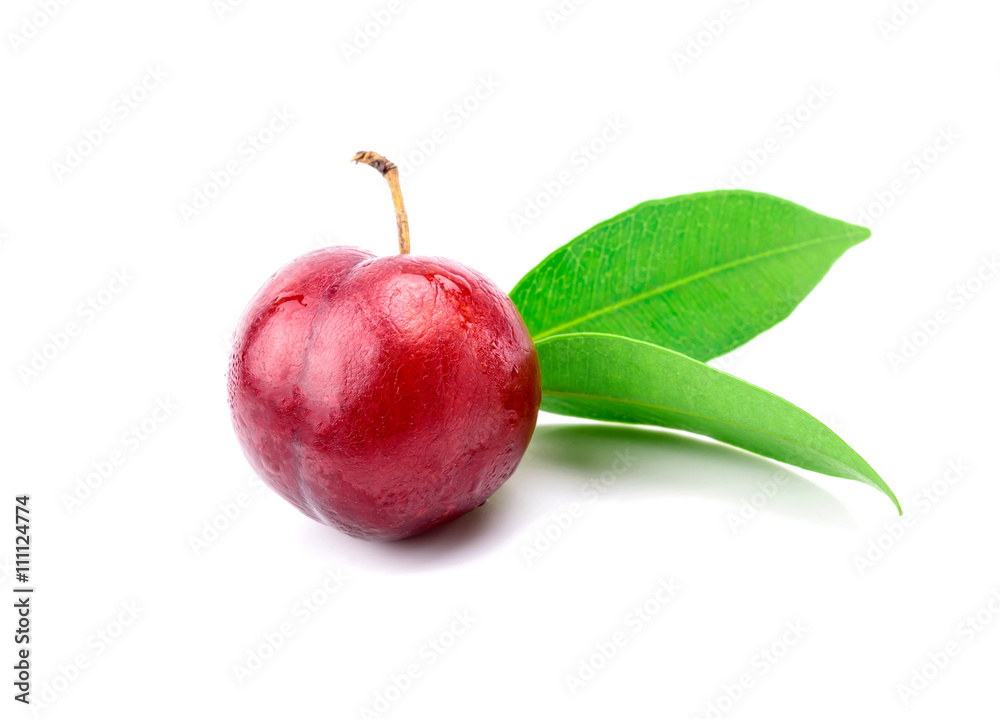 Red plum fruit Red plum fruit