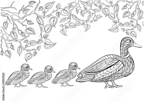 Hand drawn ink pattern. Coloring book for adult