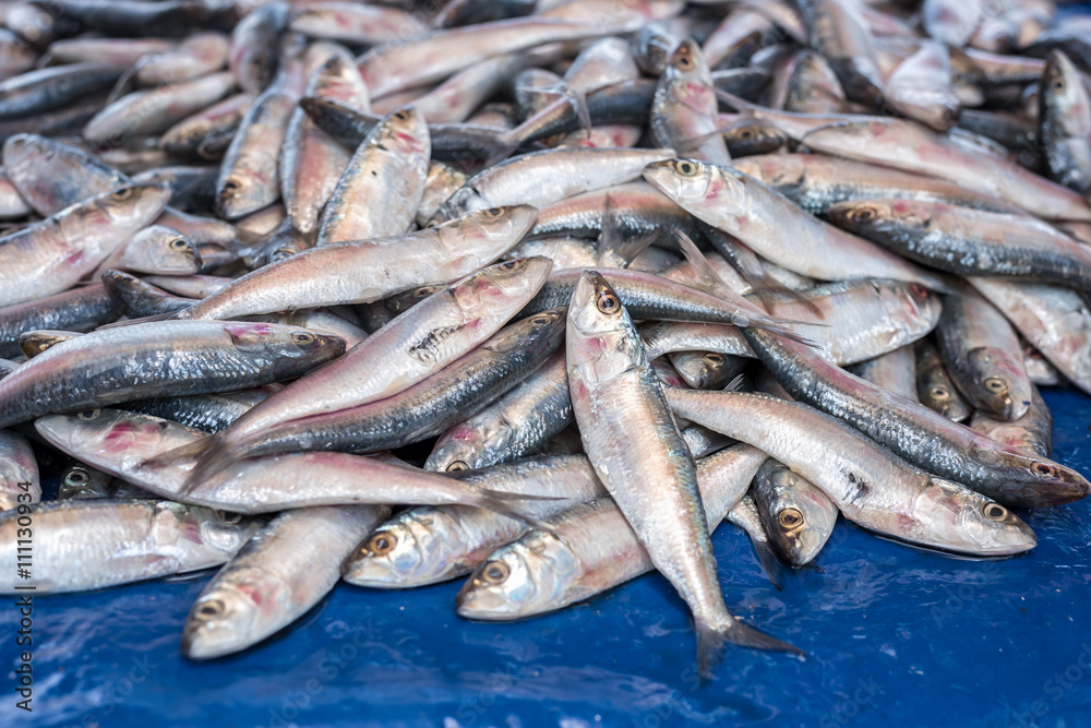 Fresh organic sea fish at market