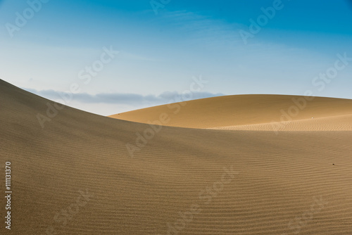Sahara desert - beautiful landscape with sand dunes © Simon Dannhauer