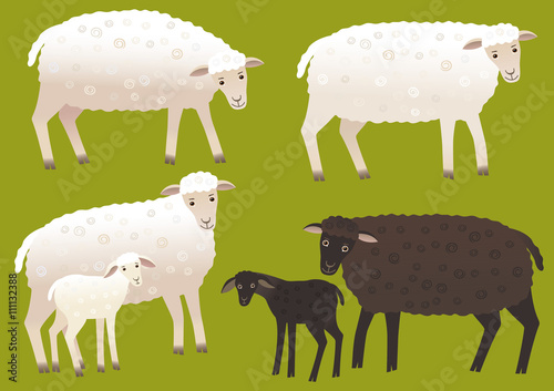 Set of sheep