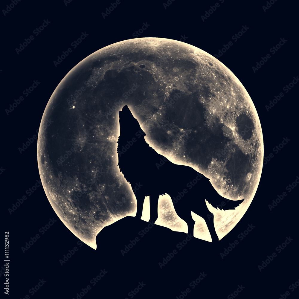 Fototapeta Wyjący wilk, księżyc w pełni