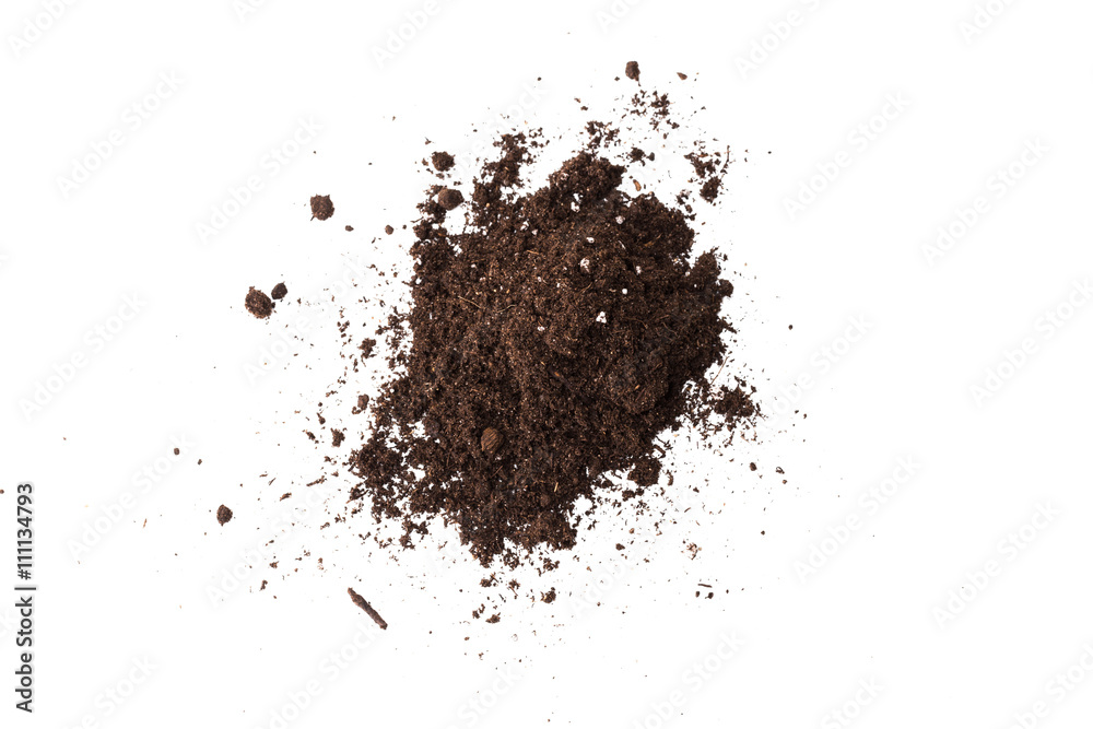 Soil or dirt section isolated on white background Soil or dirt section isolated on white background