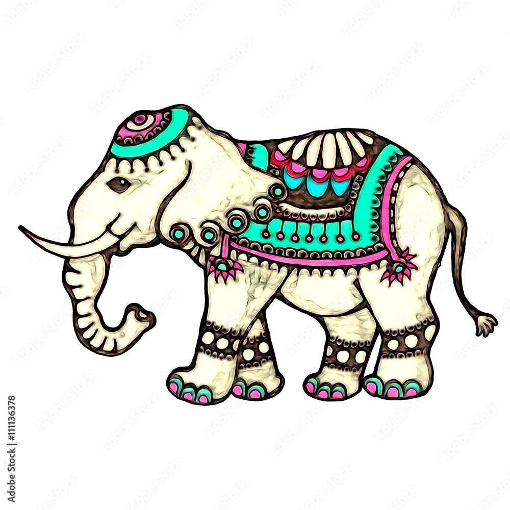 Obraz premium Indian Elephant, isolated on white