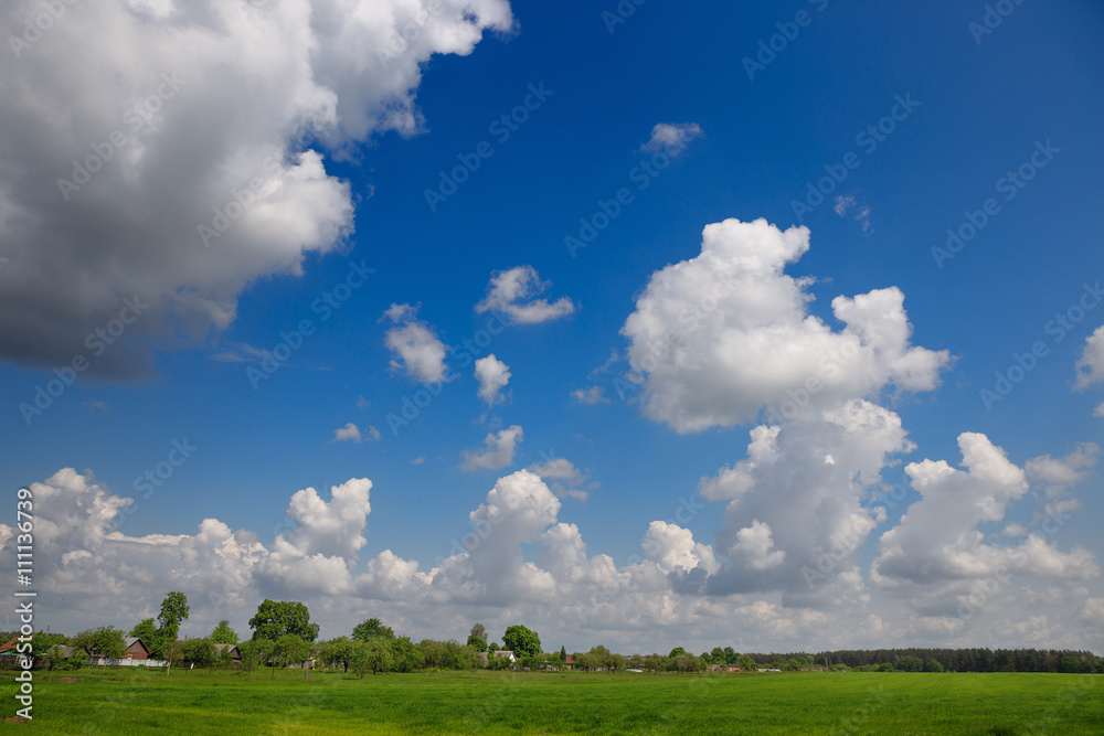 Meadow with green grass and blue sky with clouds