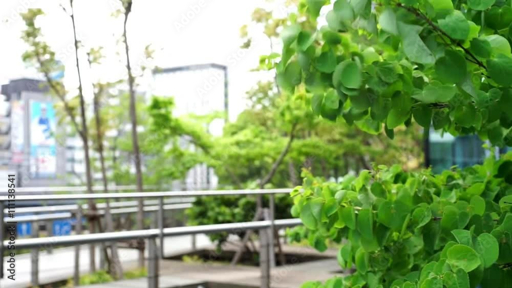 都会の植物と歩行者 都会の植物と歩行者