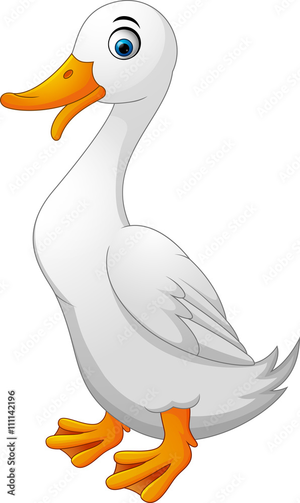 Illustration of cartoon white duck Stock Vector | Adobe Stock