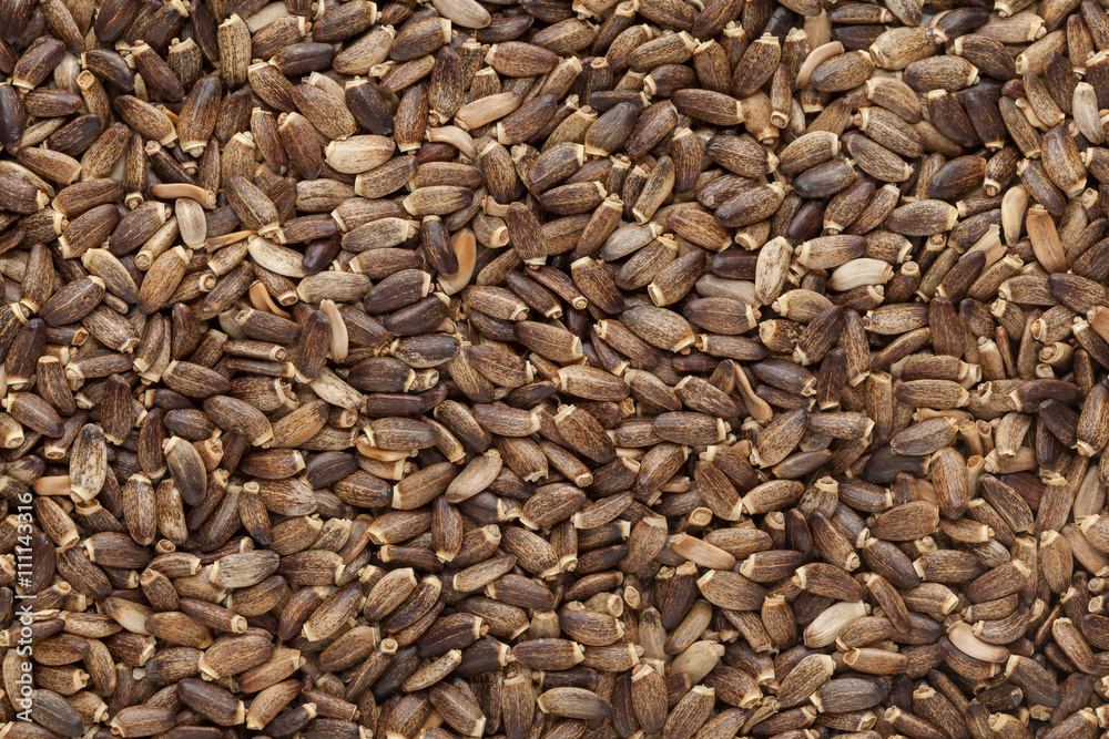 Organic Milk Thistle (Silybum marianum) seeds. Macro close up background texture. Top view. Organic Milk Thistle (Silybum marianum) seeds. Macro close up background texture. Top view.