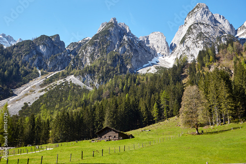 The green hills of Alps, french mountains at summer