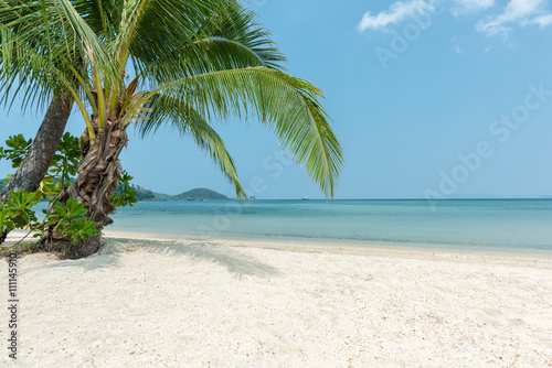 Fototapeta Naklejka Na Ścianę i Meble -  Tropical beach and coconut trees