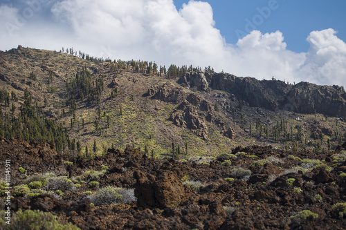 Mount Teide photo