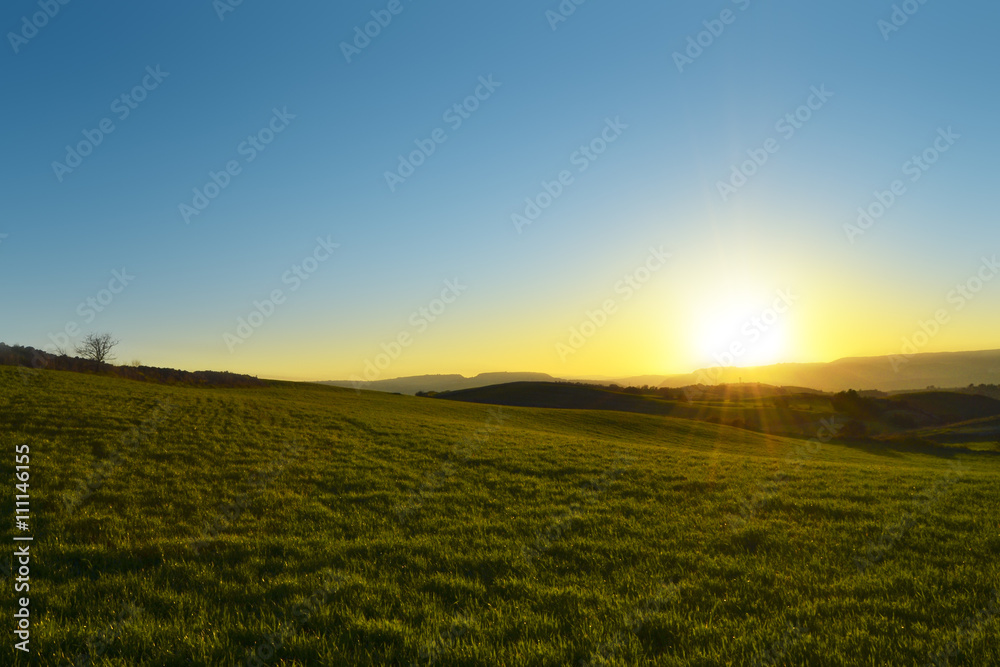 Sole che sta tramontando dietro una collina verde