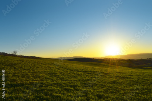 Sole che sta tramontando dietro una collina verde