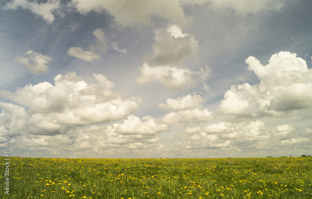 Celestial landscape on green meadow with herb