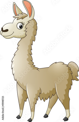 Llama cartoon