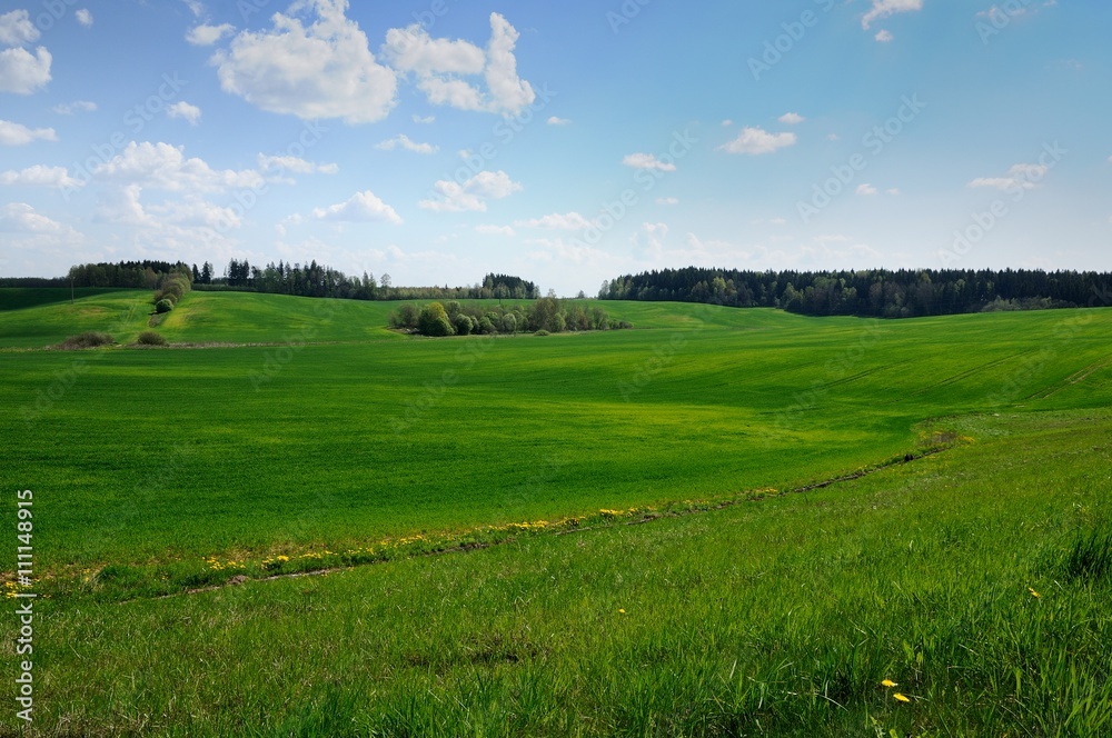 agricultural hilly green field with the blue sky agricultural hilly green field with the blue sky