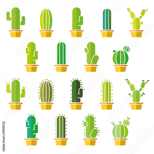 Cactus abstract flat colorful collection in vector illustration