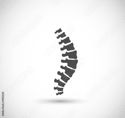 Spine icon vector