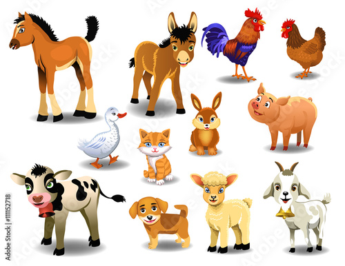 farm animals on a white background
