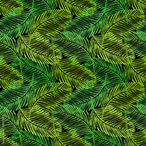 Palm leaves illustration. Tropical jungle plant.