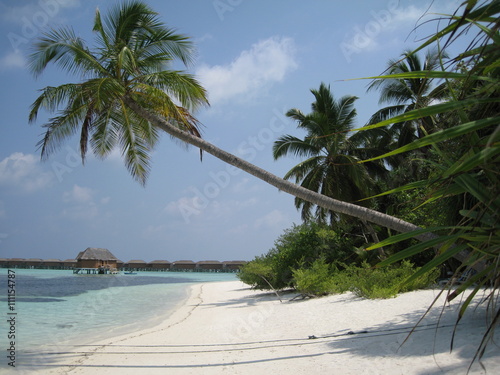 weißer Traumstrand auf den Malediven © crejala