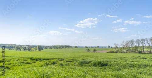 rural springtime scenery © PRILL Mediendesign