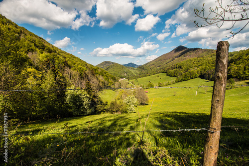 Landschaft im Frühling photo