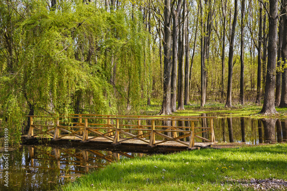 Fototapeta premium wooden bridge over a small canal in a spring landscape.