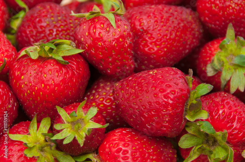 Background from freshly harvested strawberries