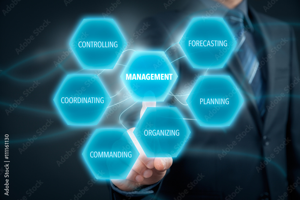 Fototapeta premium Management concept