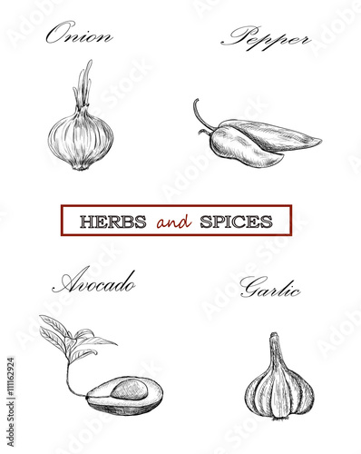 Vegetables, herbs and spices set. Onion, garlic, pepper, avocado