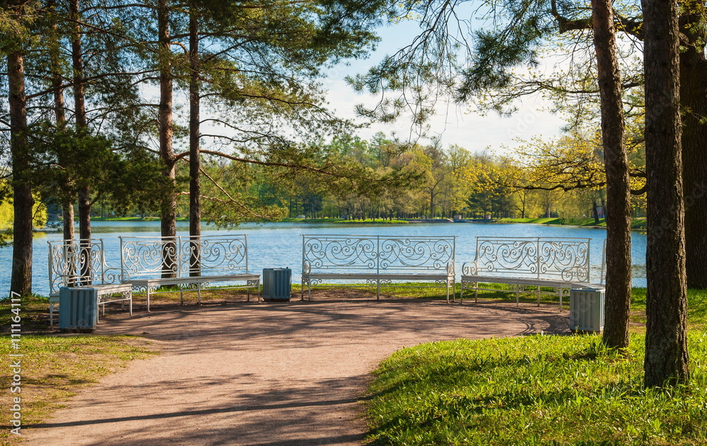Benches in the park on an island in the lake