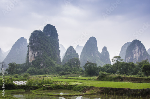 The beautiful mountains and rice fields scenery in spring 