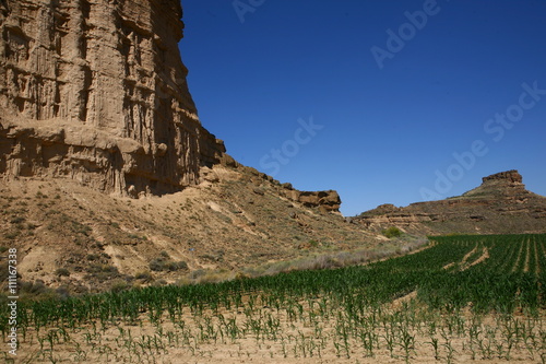 Los Monegros - Navarra