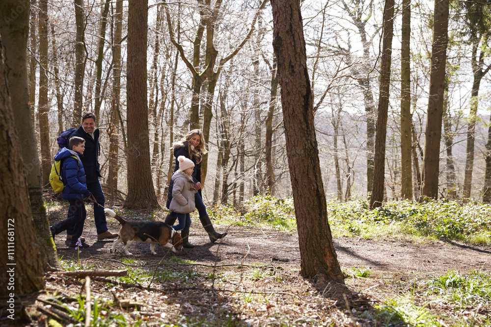 Side view of family walking with pet dog in a wood