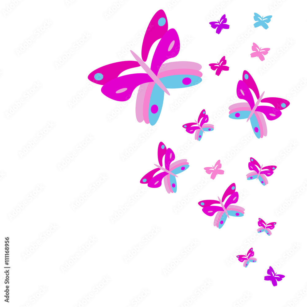 butterfly butterfly