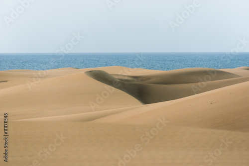 Desert with sand dunes in Gran Canaria  Spain