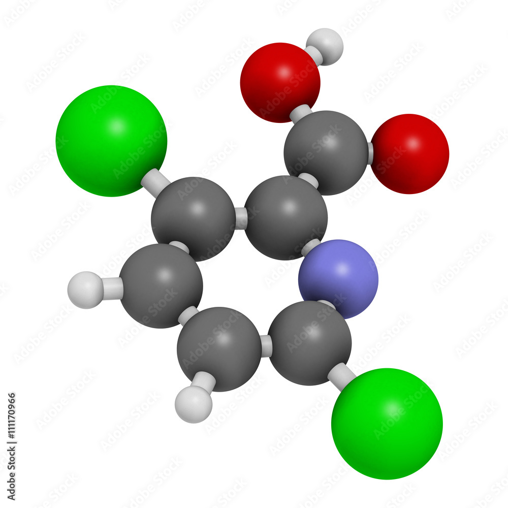 Clopyralid herbicide molecule. 3D rendering. Clopyralid herbicide molecule. 3D rendering.