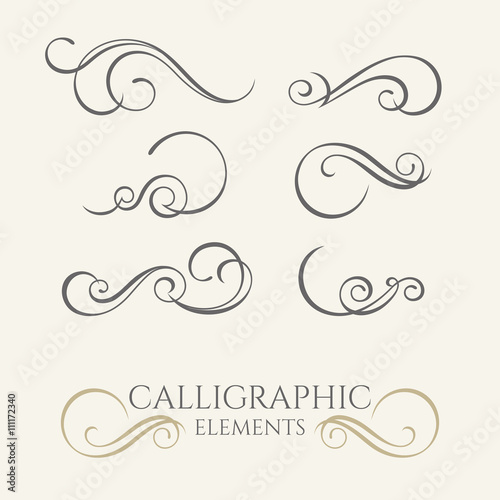 Collection of calligraphic elements. Decorative  borders. Graphi