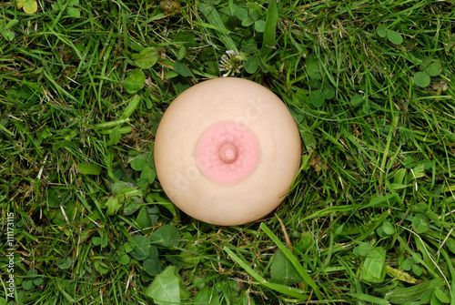 Rubber single breast on green grass lawn