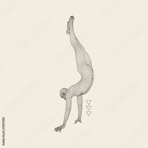 Gymnast. 3D Model of Man. Human Body Model. Gymnastics Activities for Icon Health and Fitness Community.